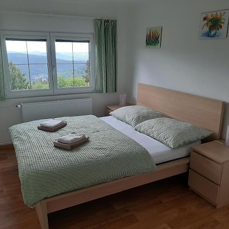Vila Naproti Klínovci Jáchymov Exteriér fotografie