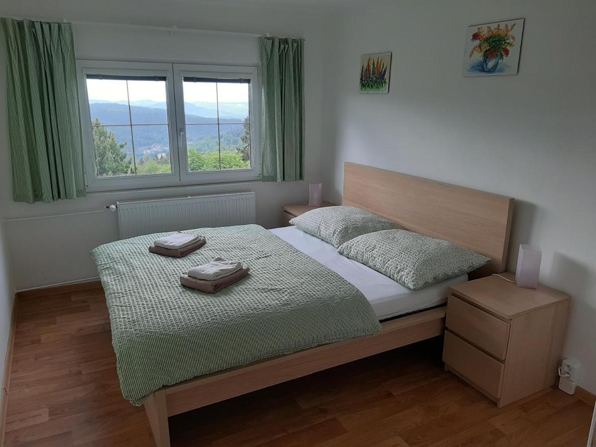Vila Naproti Klínovci Jáchymov Exteriér fotografie