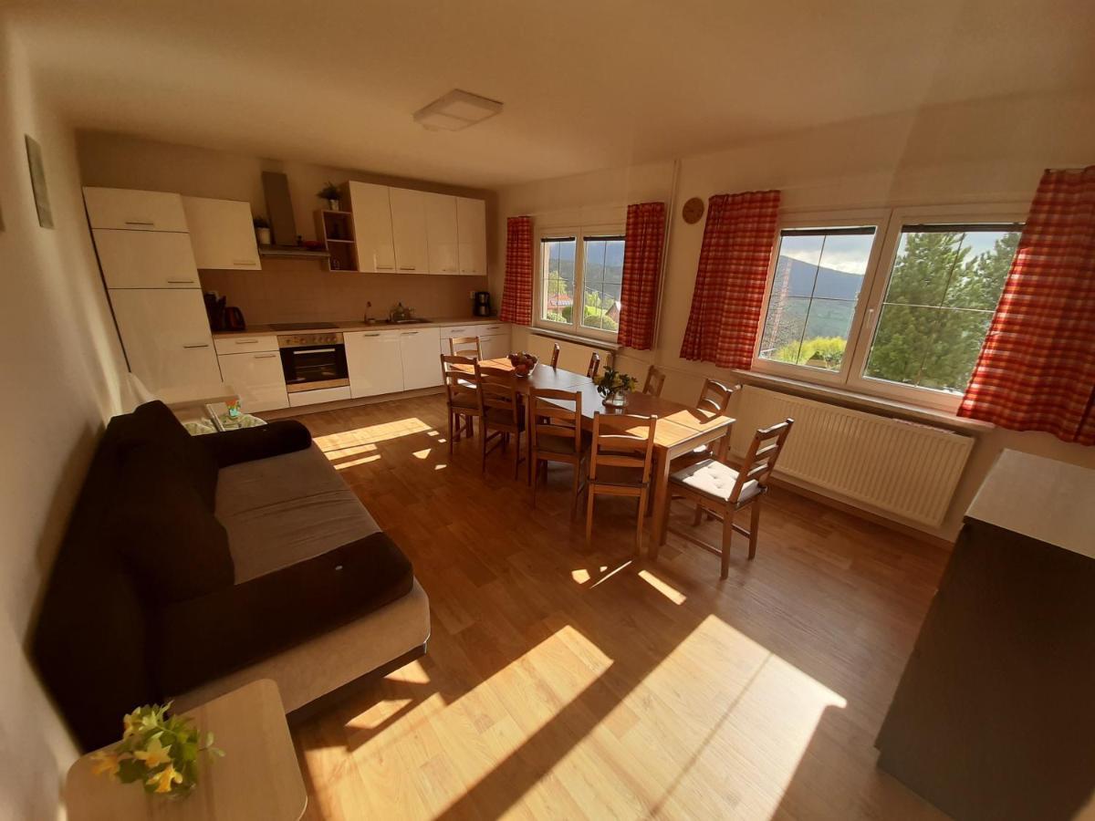Vila Naproti Klínovci Jáchymov Exteriér fotografie