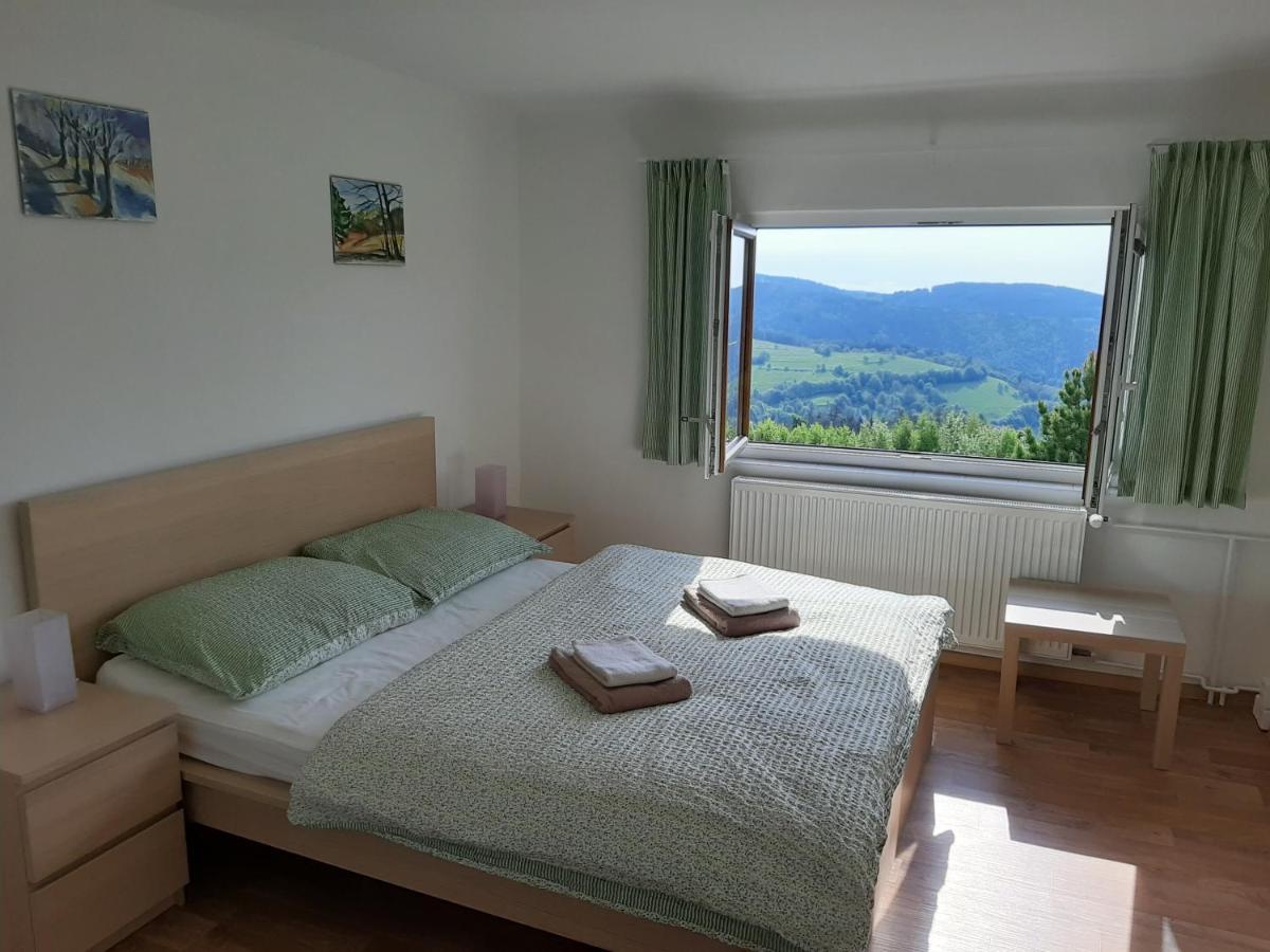 Vila Naproti Klínovci Jáchymov Exteriér fotografie